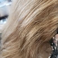 A close up of a dog 's fur with a brush.