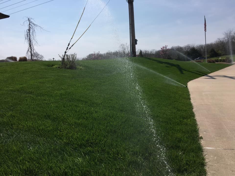 Sprinklers watering a vibrant green lawn on a slight hill near a sidewalk and trees under a sunny sky.