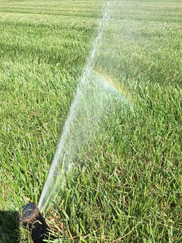 Sprinkler spraying water, creating a rainbow over a green lawn.
