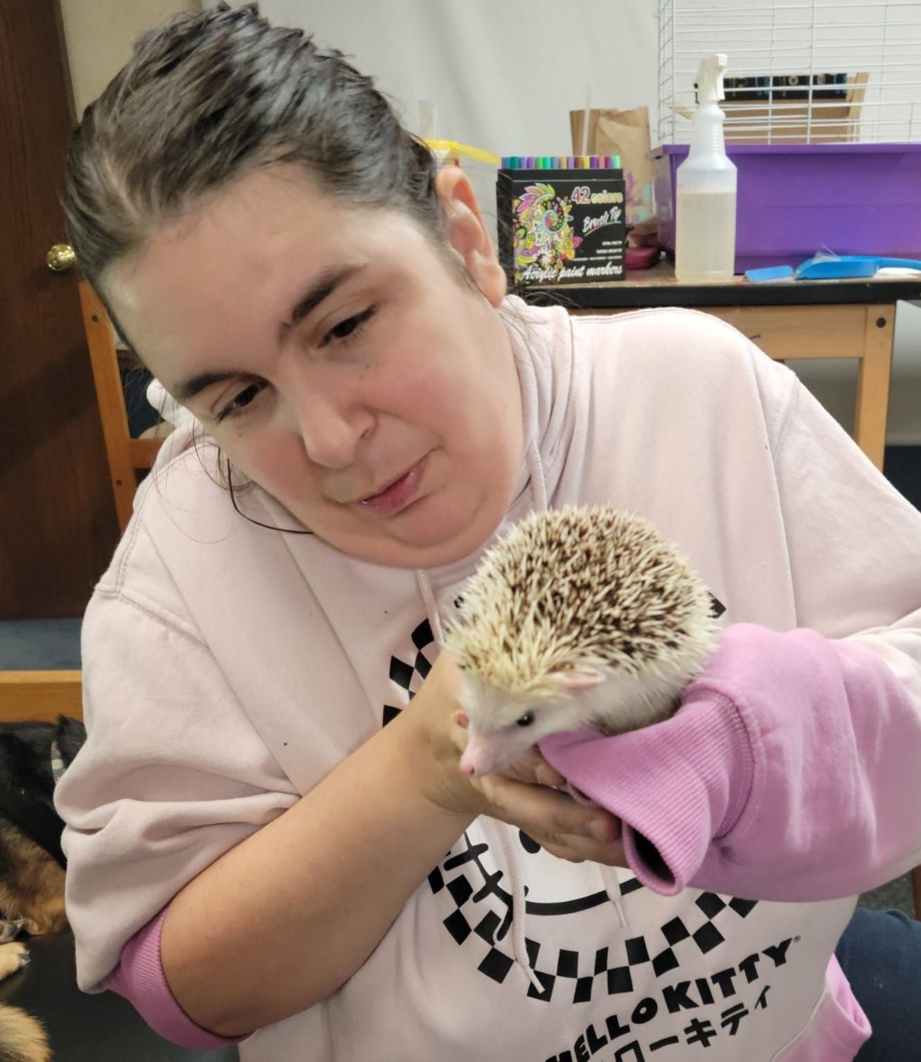 A woman in a hello kitty shirt is holding a hedgehog