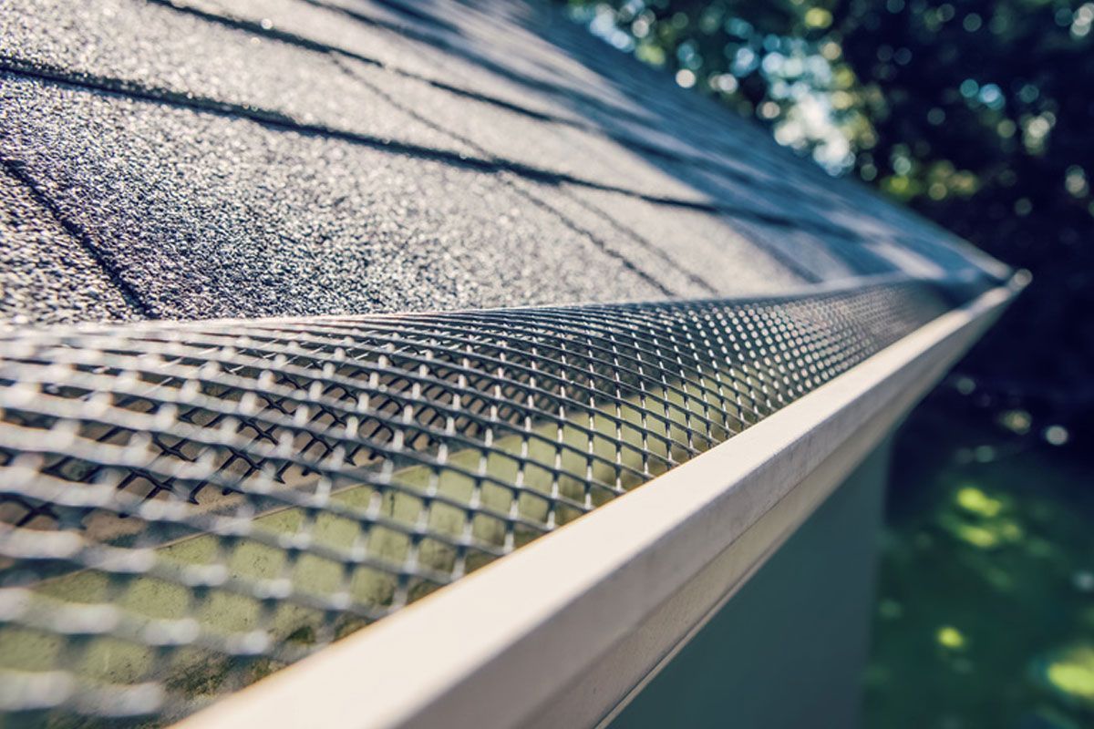 Close-up of a roof gutter with leaf guard mesh along a shingled roofline.
