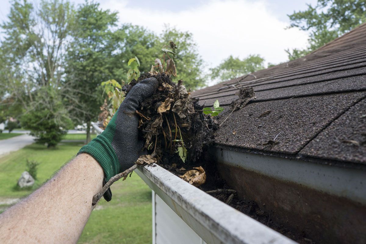 Gloved hand pulling wet leaves from a clogged roof gutter beside a shingled house