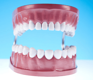 teeth denture