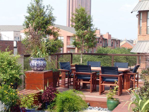 Rooftop patio with wooden furniture, surrounded by greenery and trees. Tall building visible in the background under a sunny sky.