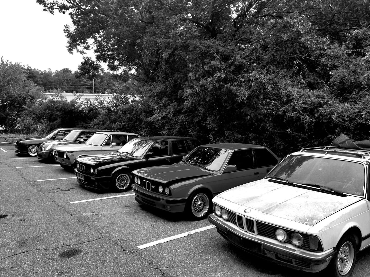 A black and white photo of a row of cars parked in a parking lot.
