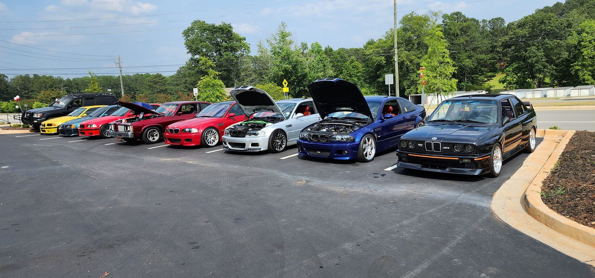 A row of cars are parked in a parking lot with their hoods up.
