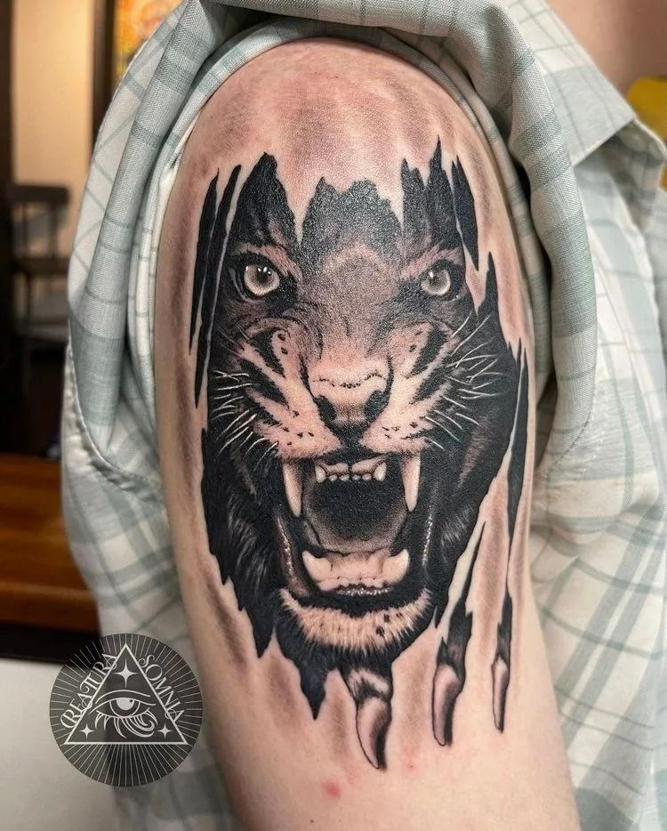 Tattoo of a black tiger bursting through ripped skin on a shoulder; detailed face with bared teeth.