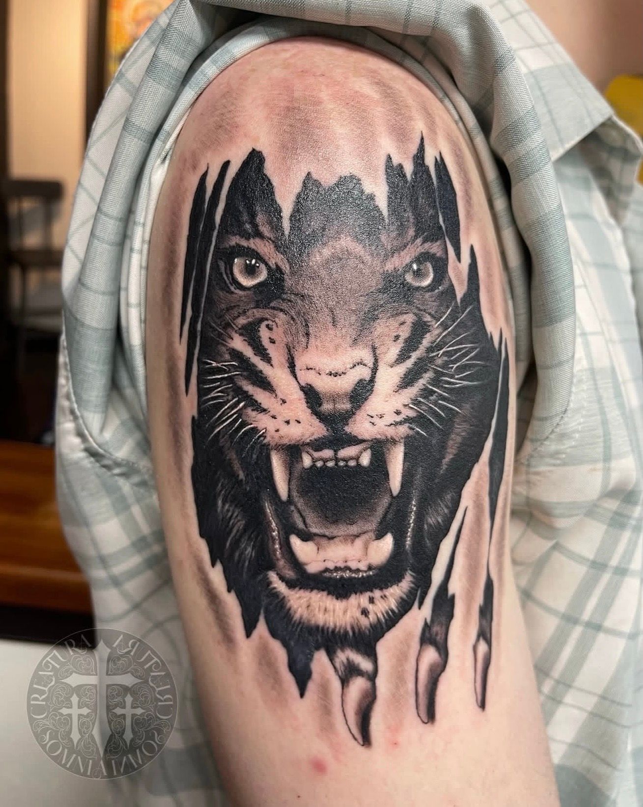 Black-and-gray tiger tattoo on an upper arm, roaring with sharp teeth and dripping edges