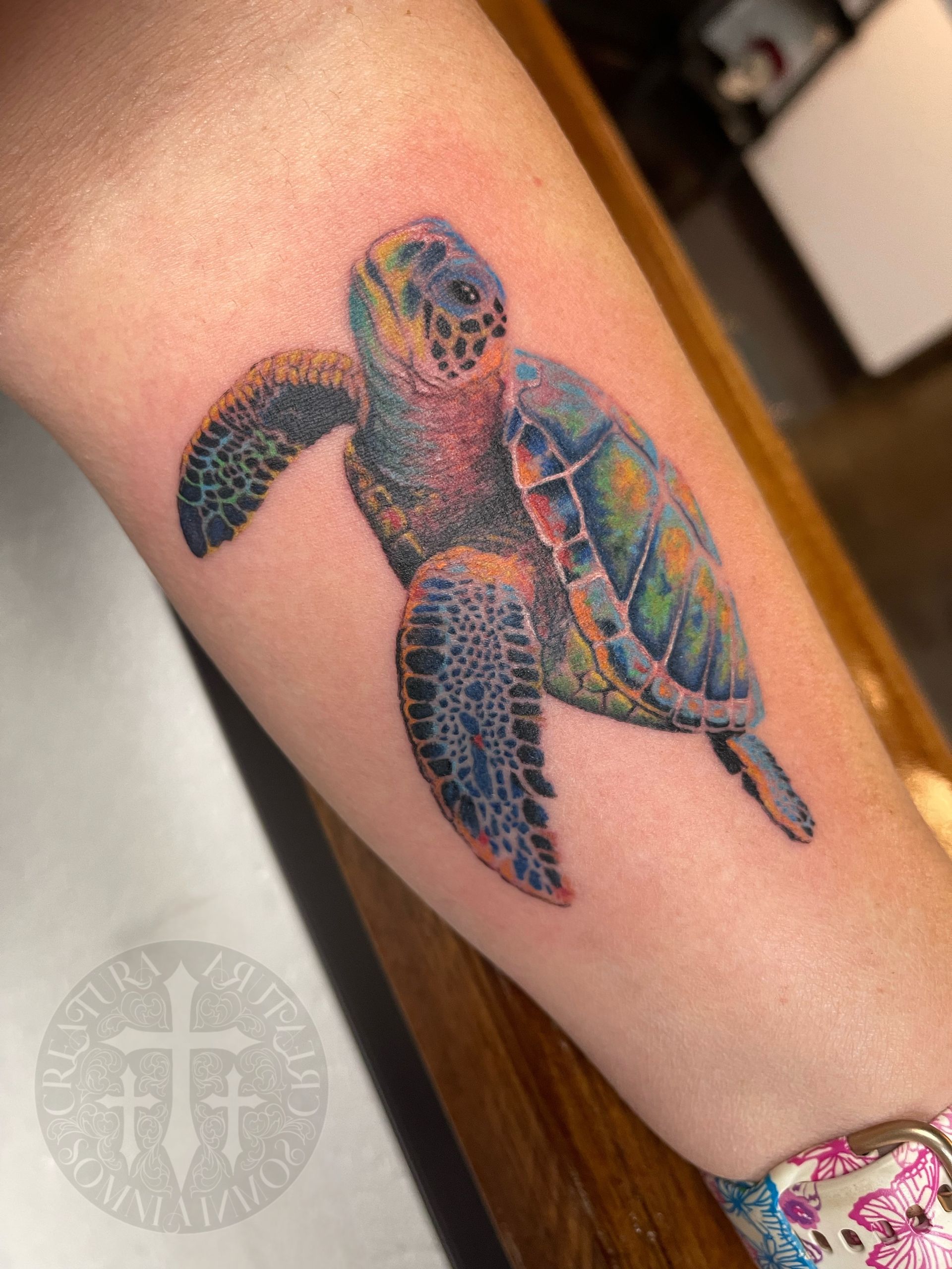 Colorful tattoo of a sea turtle on a person's forearm.