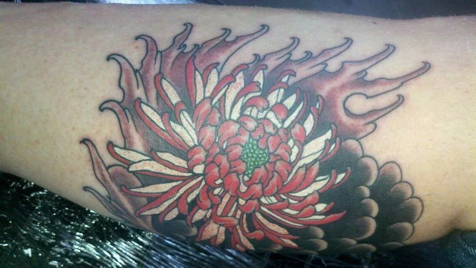 Japanese-style chrysanthemum tattoo with red petals and black background, on skin.