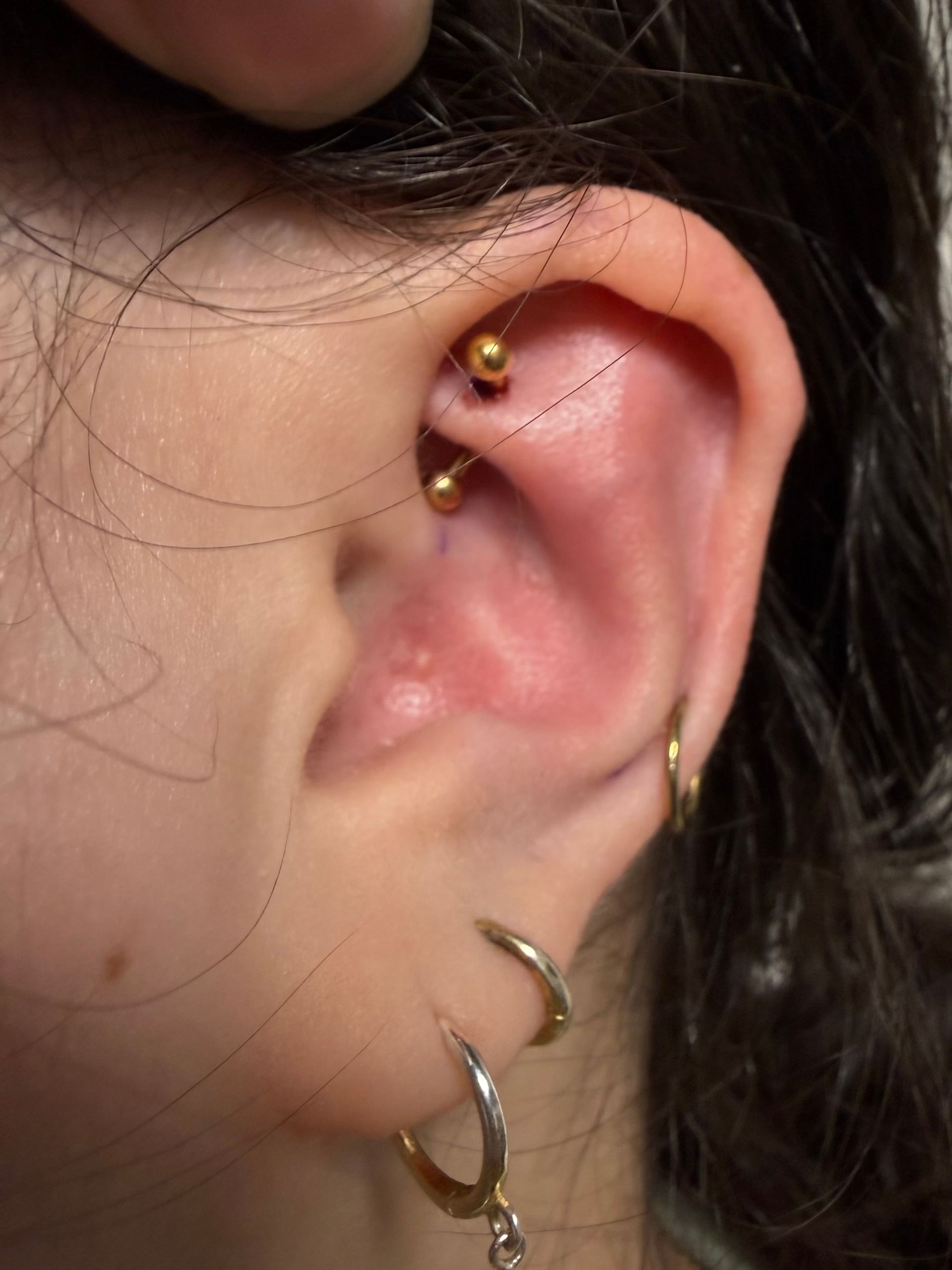 Close-up of a human ear featuring a rook piercing with a gold barbell and multiple hoop earrings in the lobe and helix.