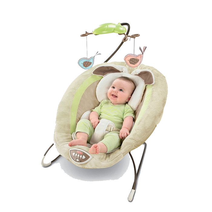 A baby is sitting in a bouncer with birds hanging from it
