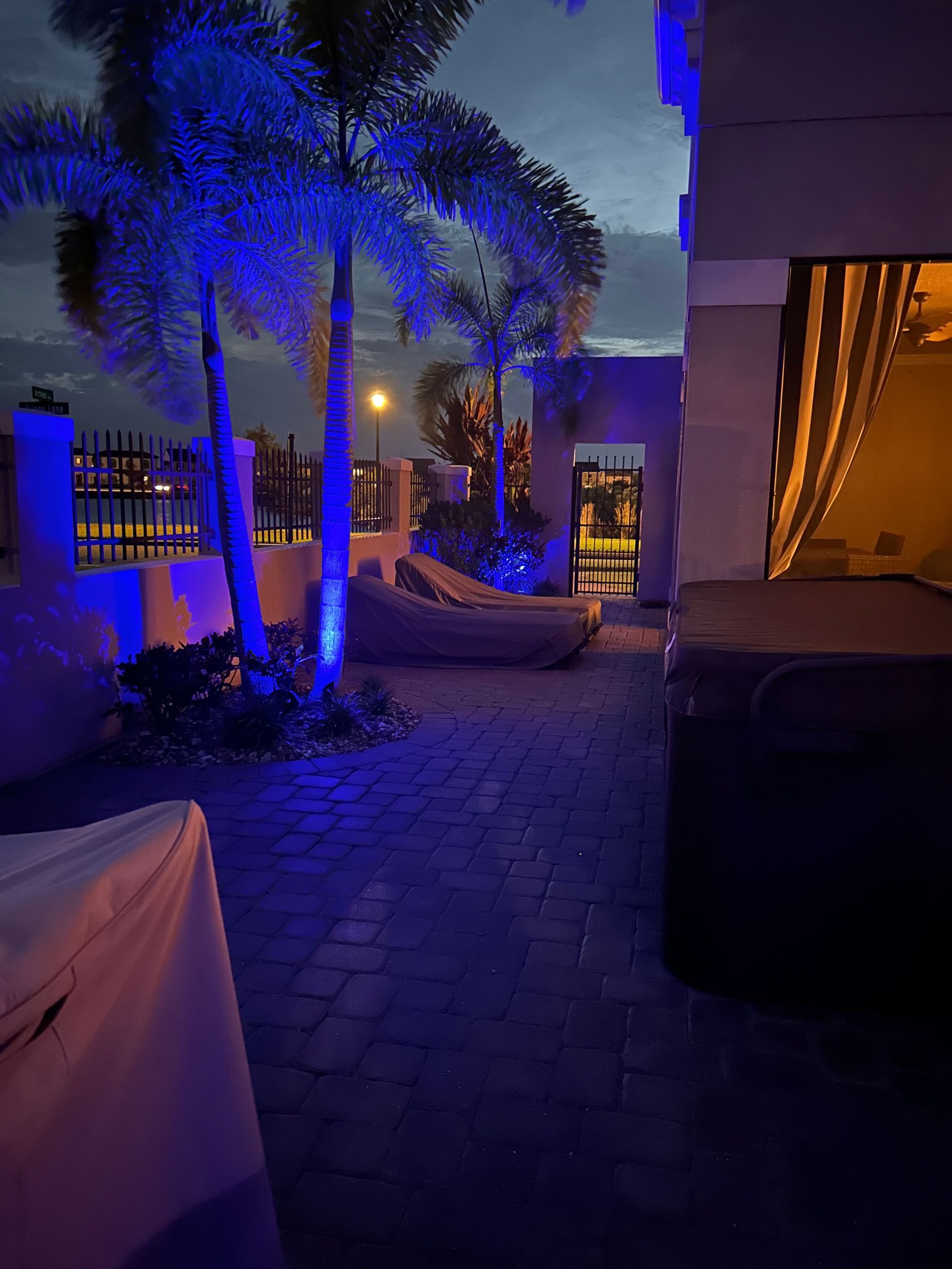 A patio with a hot tub and palm trees lit up at night.