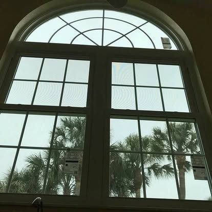 Arched window with palm trees visible outside against a bright sky