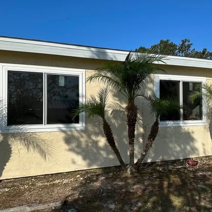 Single-story beige house with two windows and a palm tree in the front yard