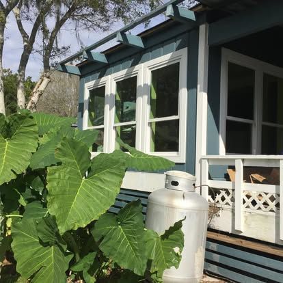 Blue house porch with white trim, green plants, and a propane tank in front