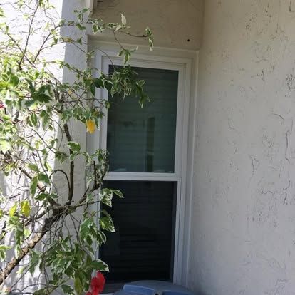 Window on a beige stucco wall partially covered by green vine branches and leaves