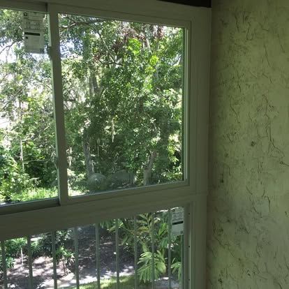 View through a window to lush green trees and garden foliage outside.
