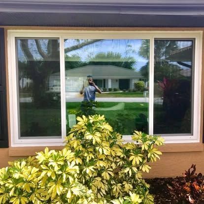 House window reflecting a person taking the photo, with shrubs in the foreground