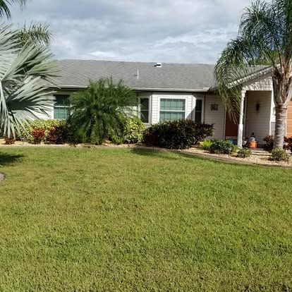 Single-story suburban house with a gray roof, white trim, palm trees, and a neatly kept green lawn