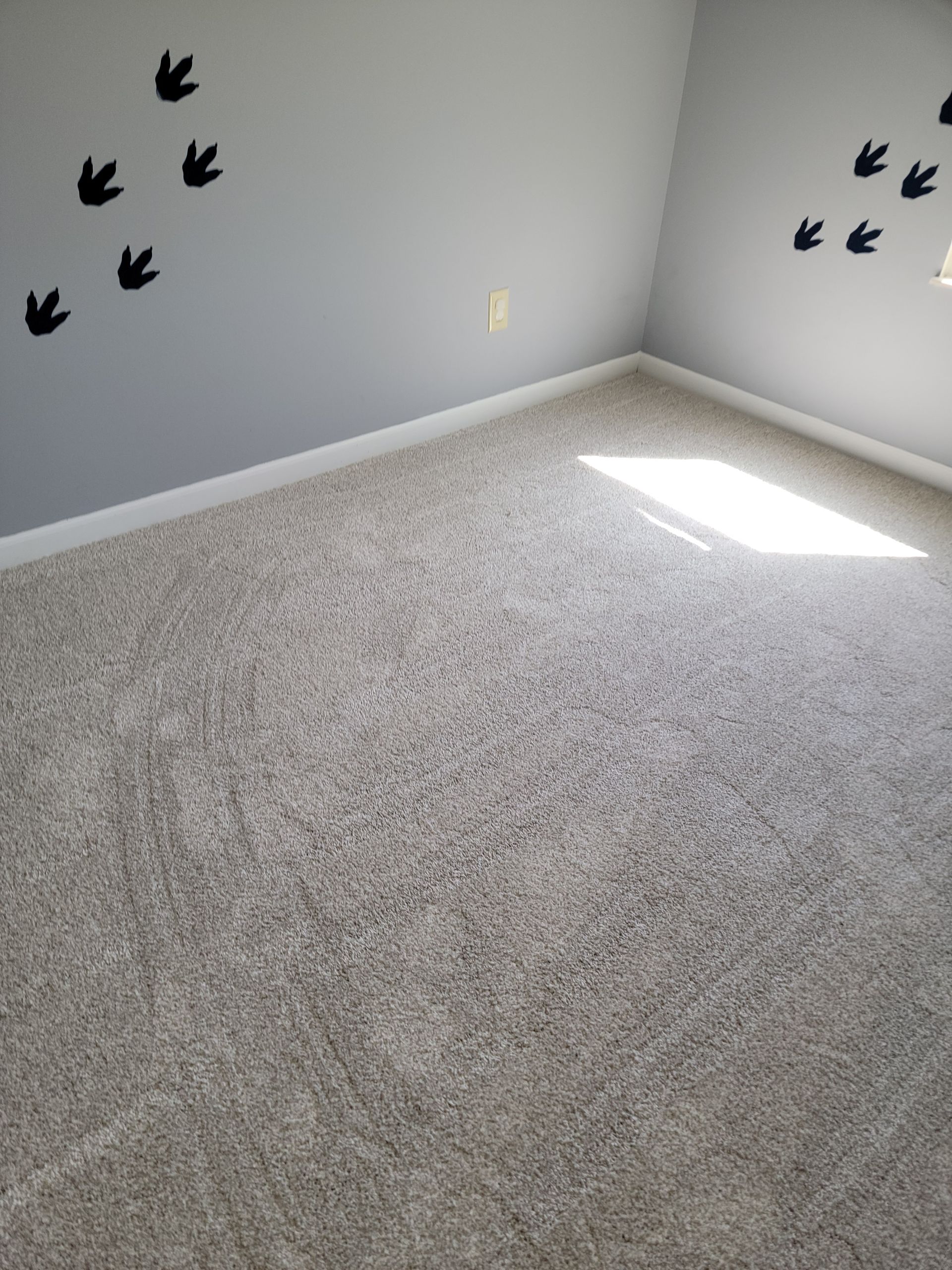 A bedroom with a carpeted floor and birds on the wall.
