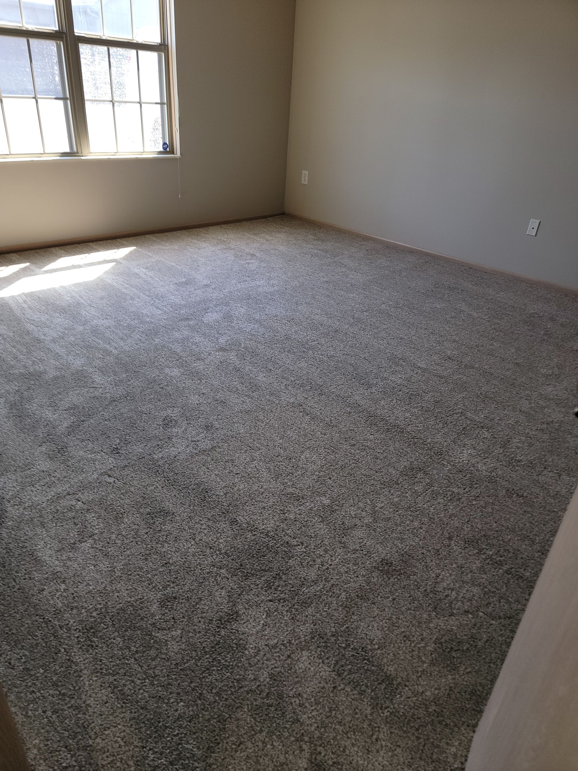 A bedroom with a large carpeted floor and a window.
