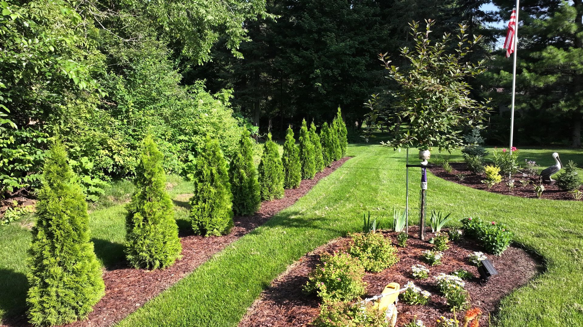 Row of slender, green evergreens border a lush, green lawn. Brown mulch, flower beds, and trees surround.