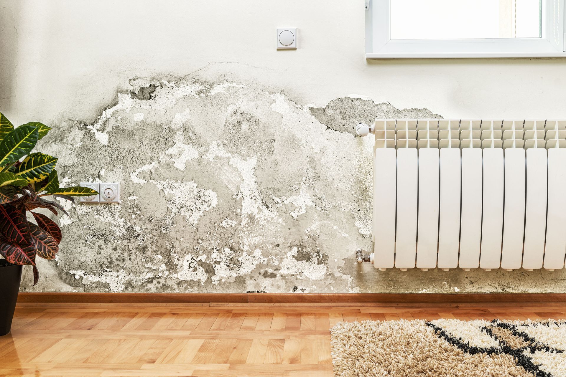 water damage