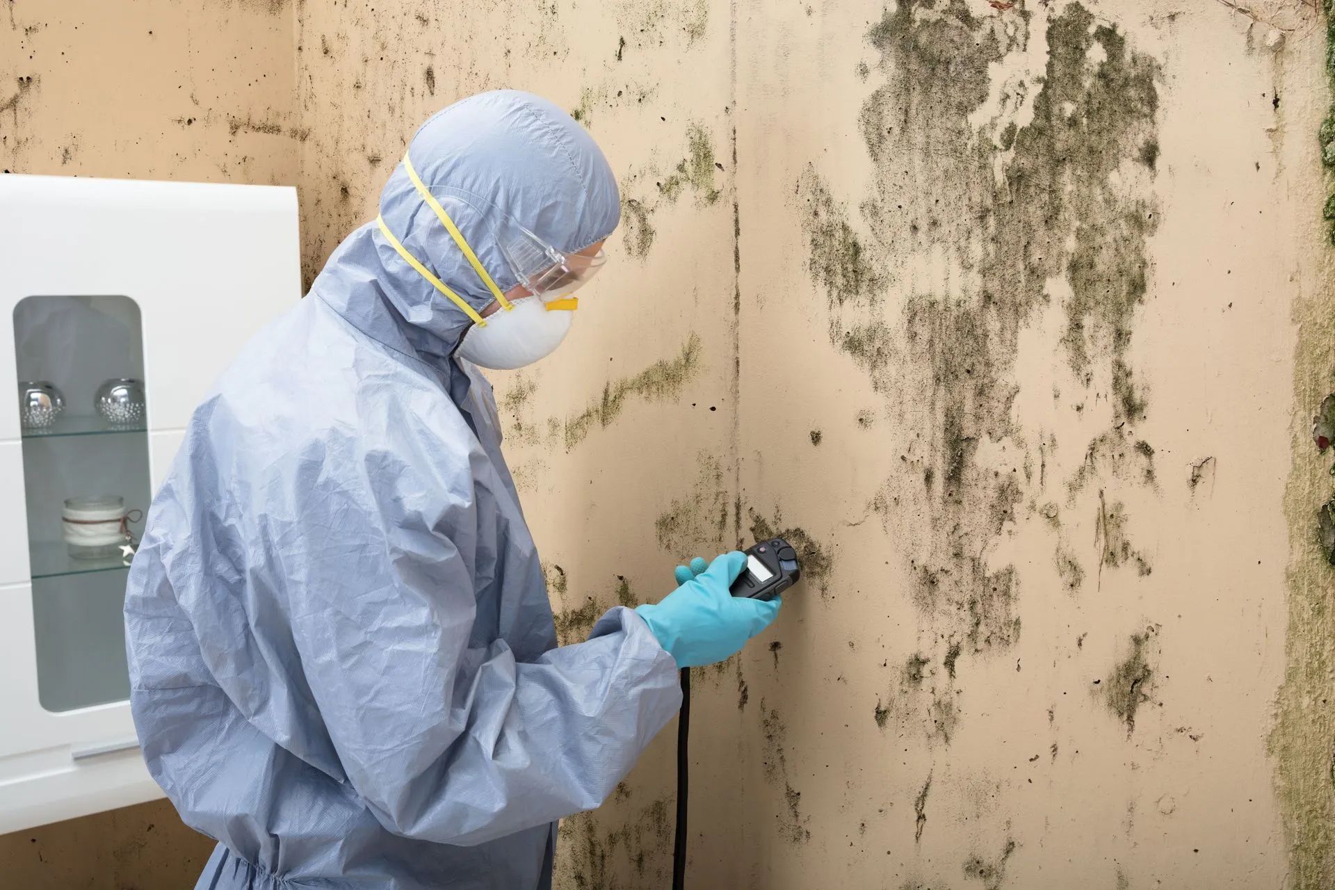 Worker in blue protective suit spray-cleaning a moldy wall indoors