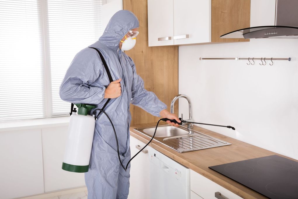 A person in a protective suit and mask sprays insecticide on a kitchen counter near a sink.