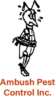 A cartoon ant tied with rope, looking distressed. Below is the text: Ambush Pest Control Inc.