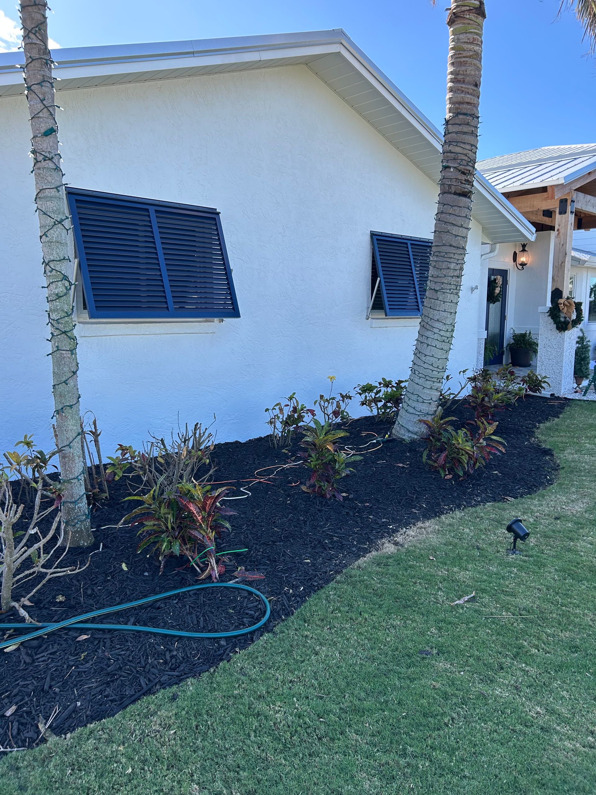 White house with black shutters, palm trees, and black mulch landscaping.