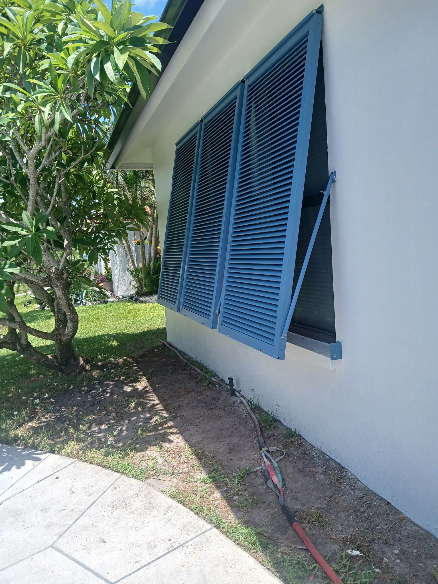Blue louvered shutters on white building; next to a tree and grass; sunlight.