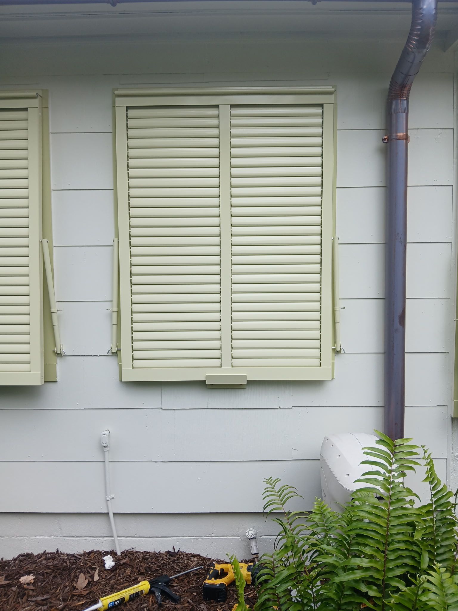 Closed pale green shutters on a window of a light green building, next to a rain gutter and plants.