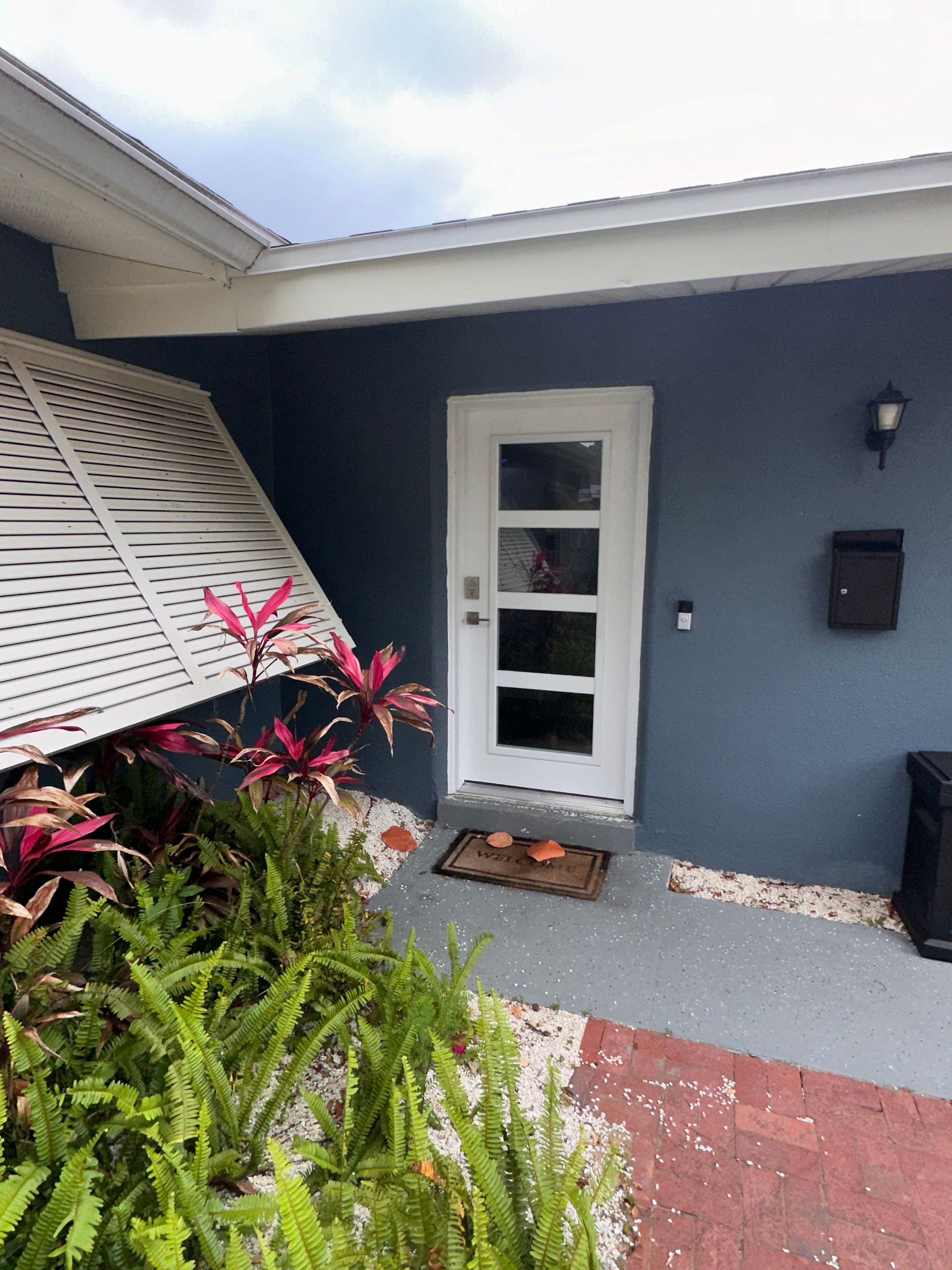 White door with glass panels on a blue stucco house, with plants and a mailbox.