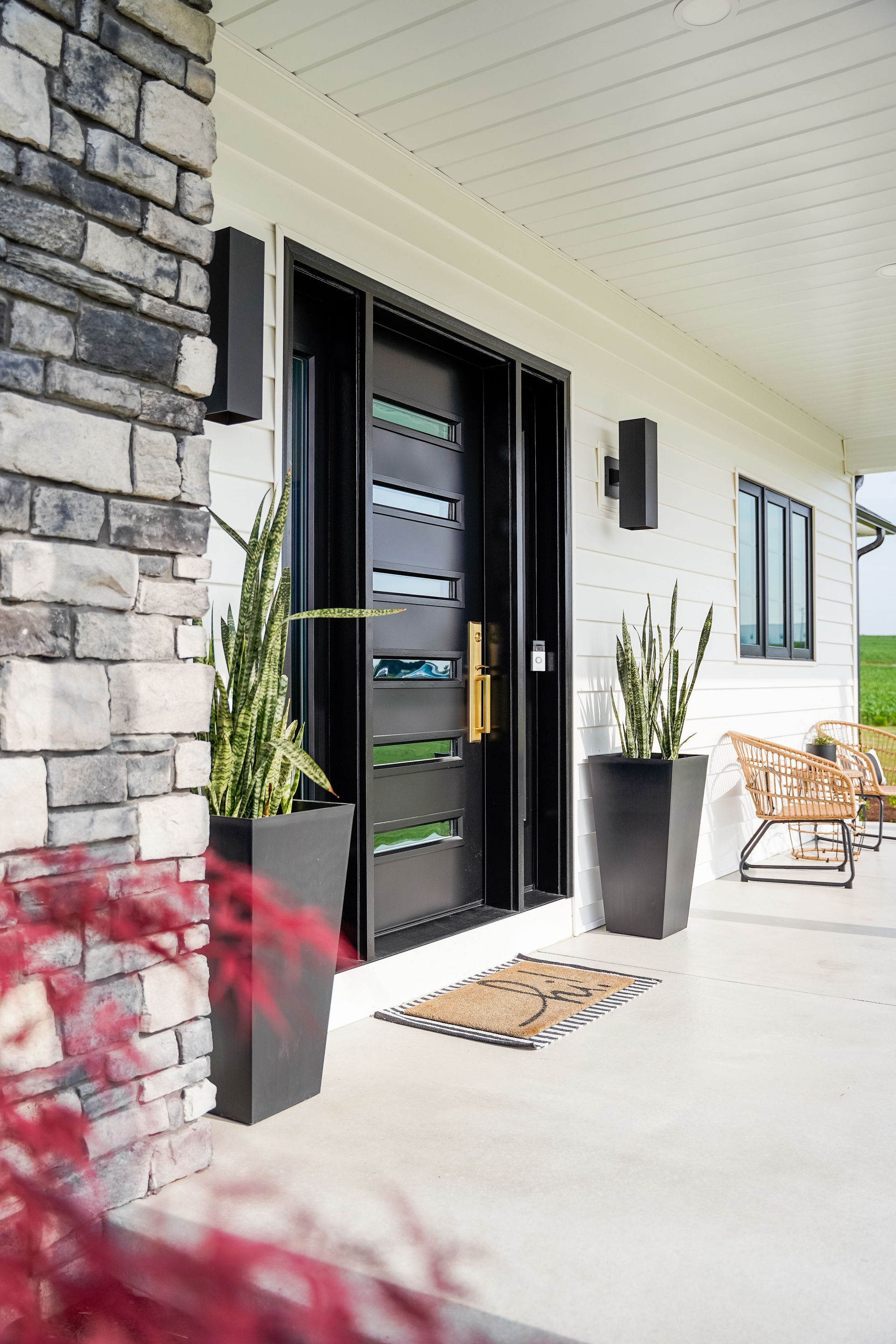 Modern black front door with glass panels; plants in black planters sit on white porch.