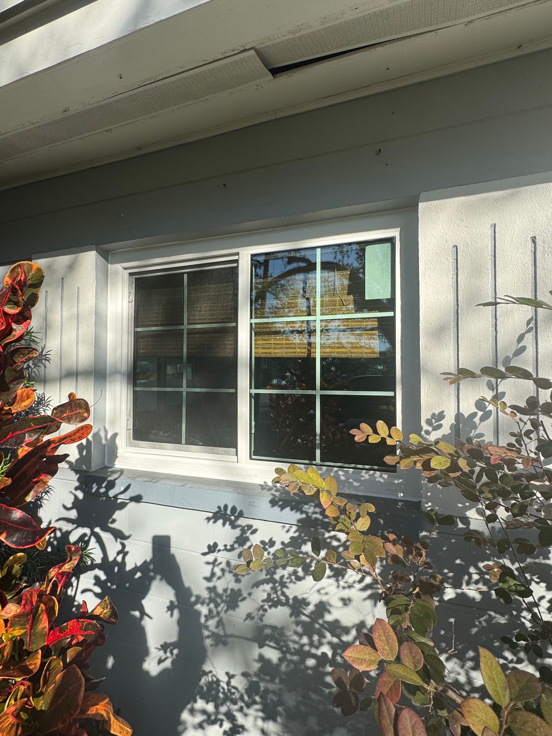 A two-pane window with grids in a stucco wall, surrounded by foliage.