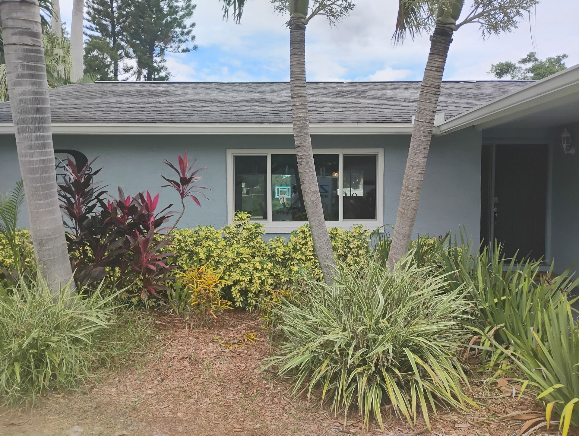 Blue house with white window surrounded by plants and palm trees.