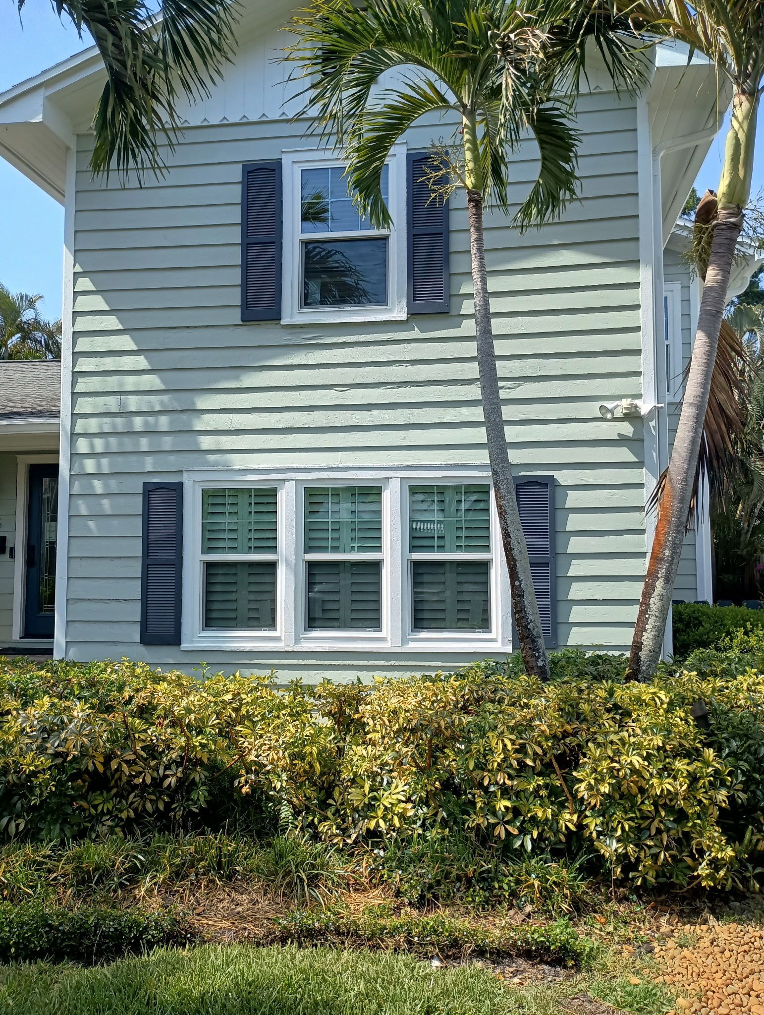 Light green house with white-framed windows, dark shutters, and palm trees. Bushes in front.