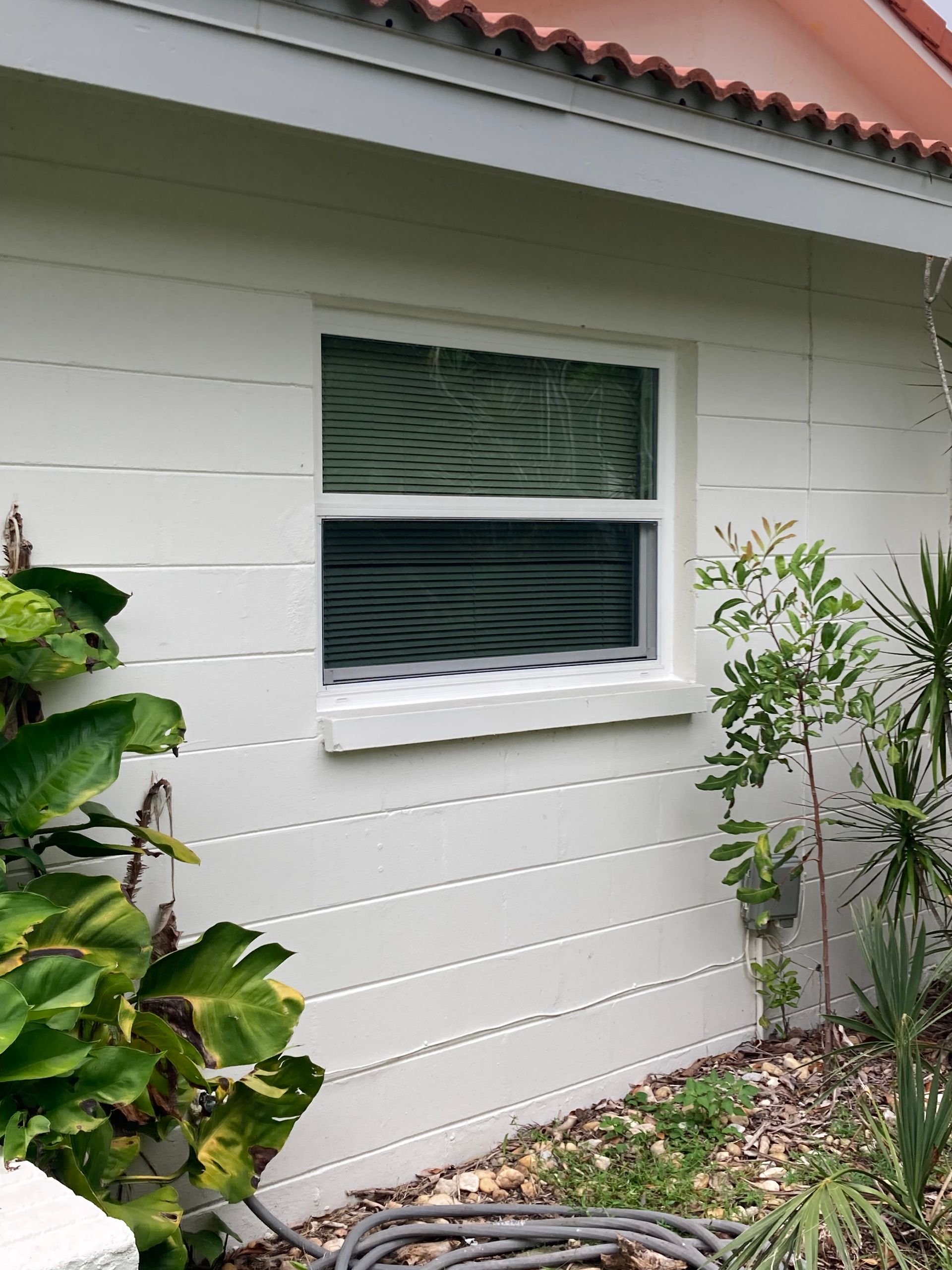 White window on a white, horizontally-lined wall. Plants in foreground and red-tiled roof visible.