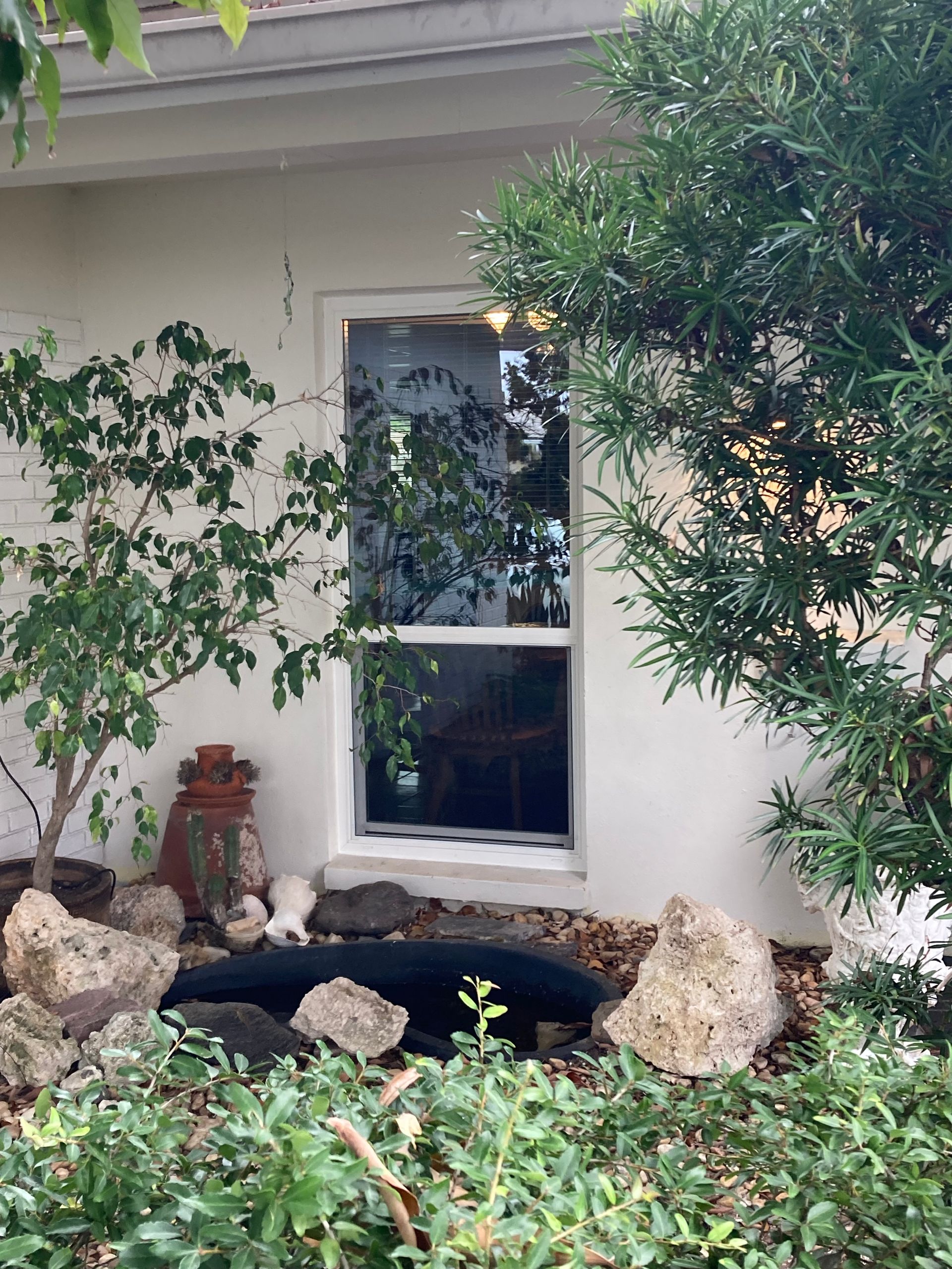 Window in a white stucco wall, framed by green plants and rocks; sunlight reflects within.
