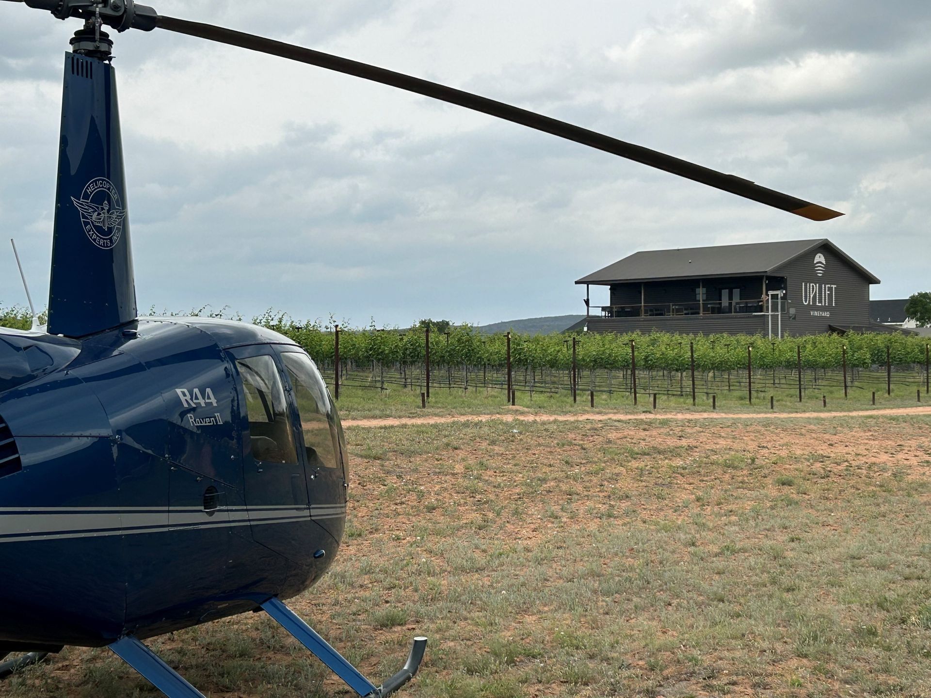 Blue helicopter on a grassy field in front of a vineyard and a dark building.