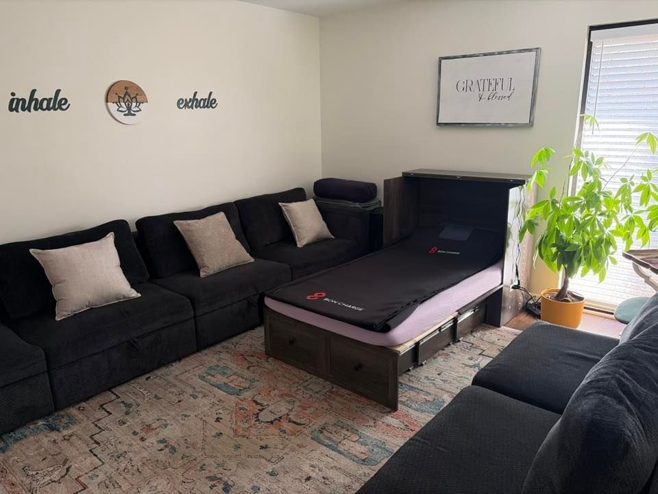 Cozy living room with black sectional sofa, bed, rug, and potted plant. 