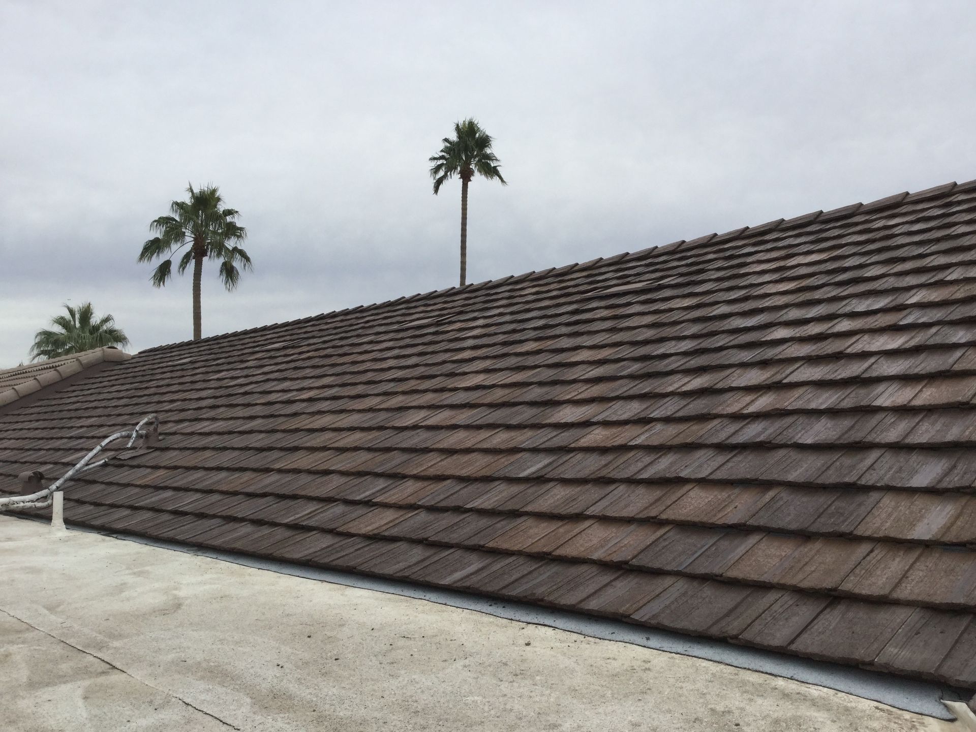 a roof with a lot of tiles and palm trees in the background