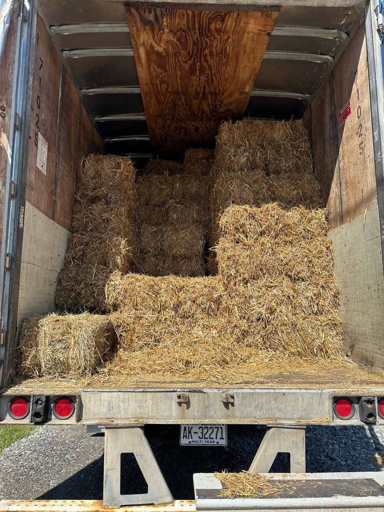 Hay bales inside a truck, ready for transport.