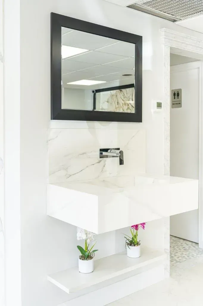 Modern white bathroom vanity with black-framed mirror and small potted plants