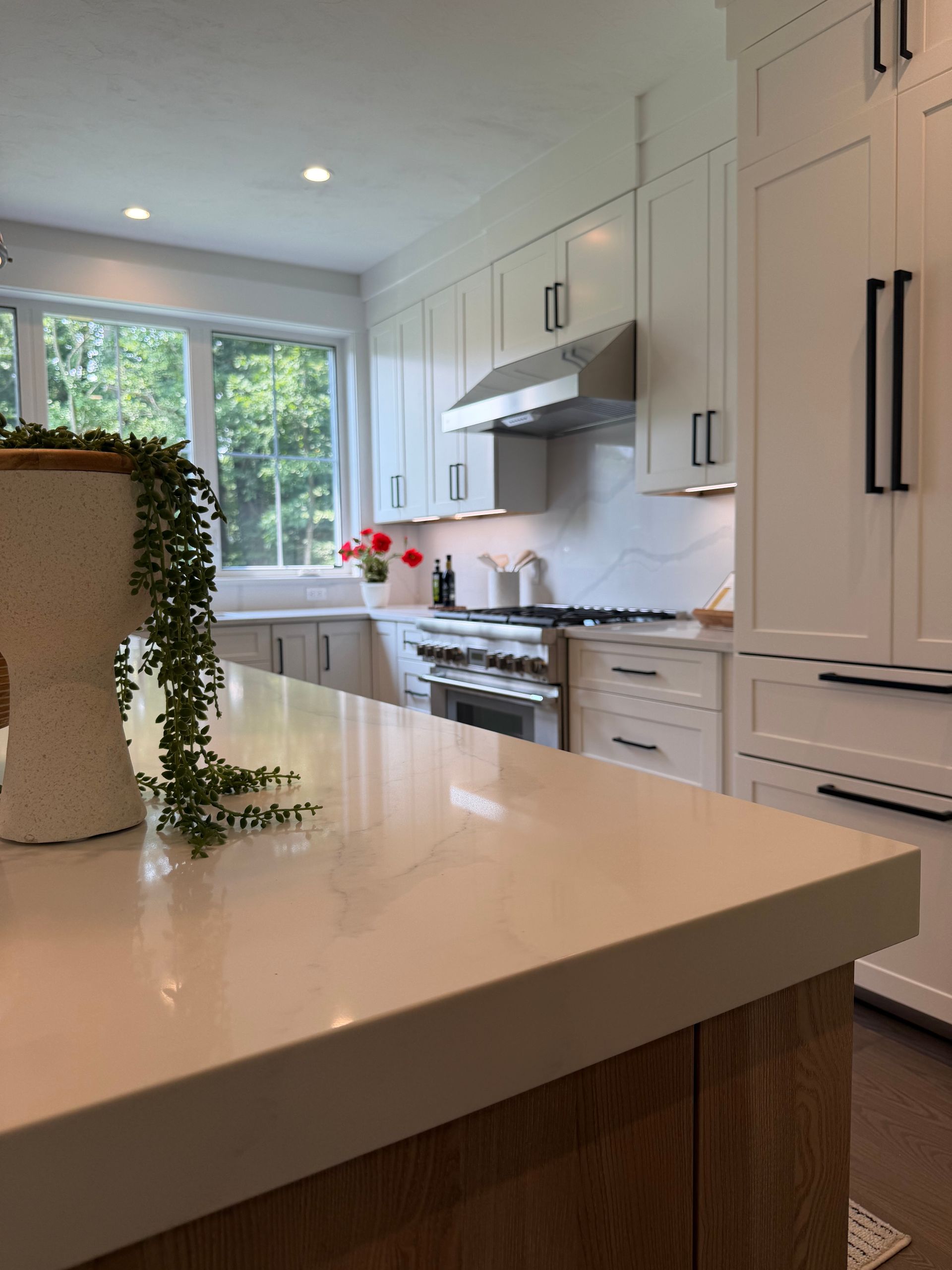 Bright modern kitchen with white cabinets, stainless stove, and a green vine on a white island counter