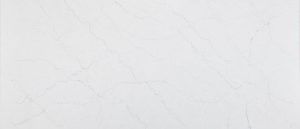 Plain white textured background with subtle gray marbling.