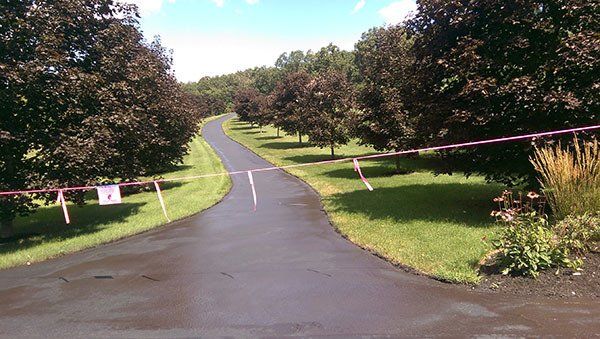 Seal coating and repair