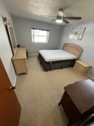 Bedroom with bed, dresser, nightstand, and ceiling fan. Beige carpet and grey walls.